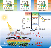 Graphical abstract: Boosting piezo-photocatalytic performance in antibiotic wastewater treatment through graphitic carbon nitride–zinc oxide based heterojunction engineering