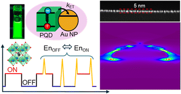 Graphical abstract: Amplified emission from halide perovskite quantum dots by exciton–plasmon-coupled energy transfer in the neutral and trion states on gold nanoparticles