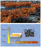 Graphical abstract: Multifunctional polymers in perovskite photovoltaics: bridging efficiency, stability, and manufacturing