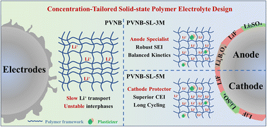 Graphical abstract: Concentration-tailored interphase engineering in solid-state polymer electrolytes for high-voltage lithium metal batteries