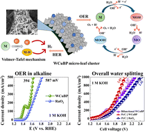 Graphical abstract: An efficient and durable electrocatalyst for electrochemical water splitting: WCuBP micro-leaf-clusters