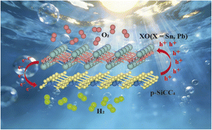 Graphical abstract: Designing type-II p-SiCC4/XO (X = Sn, Pb) van der Waals heterojunctions with a built-in electric field as promising photocatalysts for highly efficient overall water splitting