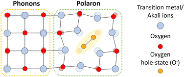 Graphical abstract: Phonon RIXS signatures reveal polaron formation in oxygen redox Li- and Na-ion battery cathodes
