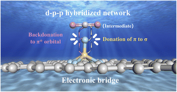 Graphical abstract: An electronic transmission bridge via 3D N-doping for steering urea electrosynthesis