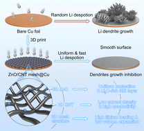 Graphical abstract: A 3D-printed ZnO/CNT mesh@Cu composite electrode for dendrite-free and ultra-stable lean-lithium metal batteries
