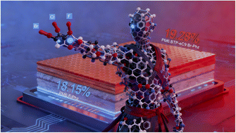 Graphical abstract: Universal asymmetric single-halogenation of the central unit in non-fullerene acceptors enables high-performance organic solar cells with efficiencies approaching 20%