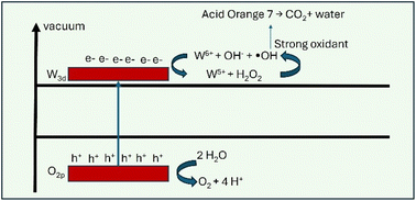 Graphical abstract: In situ photo-Fenton-like reaction and oxygen evolution through polaron-mediated WO3