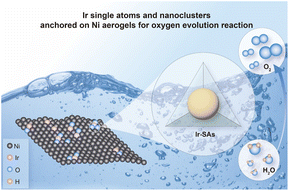 Graphical abstract: Ir single atoms and nanoclusters anchored on Ni aerogels for enhanced alkaline water oxidation: unravelling the Ir coordination environment and the Ir–Ni synergistic effect
