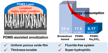 Graphical abstract: Polydimethylsiloxane-assisted low-energy anodization: a fluoride-free tunable strategy for engineering porous TiO2 films