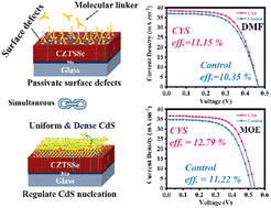 Graphical abstract: Molecular linker engineering CdS/Cu2ZnSn(S,Se)4 interface for efficient photovoltaics