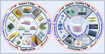 Graphical abstract: The role of AI in the advancement of 2D materials for biosensing and nanoelectronics