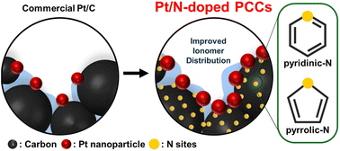 Graphical abstract: Selective nitrogen doping on porous hard carbons using polymer dopants for high-performance fuel cells