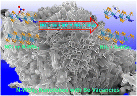 Graphical abstract: Nitrogen-doped WSe2 few-layer nanotubes for electrocatalytic nitrate reduction via Se vacancies