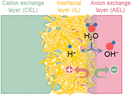 Graphical abstract: Manipulating interlayer morphology in electrospun bipolar membranes: a key to overcoming the trade-off between perm-selectivity and resistance