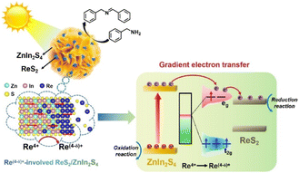 Graphical abstract: Photoinduced metastable-charging of d-orbital electrons of Re centers enhances interfacial charge migration behavior for efficient coupling conversion