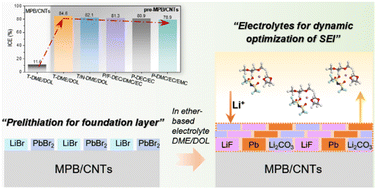 Graphical abstract: Cultivating a self-reinforcing solid-electrolyte interphase for negative-fading enhancement in CH3NH3PbBr3 perovskite anodes