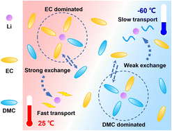 Graphical abstract: The mechanism of Li-ion transport in carbonate-based electrolytes