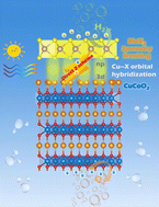 Graphical abstract: Orbital hybridization-induced direct Z-scheme in CuCoO2/MoX2 heterostructures for overcoming kinetic imbalance in overall water splitting