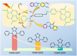 Graphical abstract: Efficient photocatalytic synthesis of quinazolinones using nitrogen-modulated benzothiadiazole-based covalent organic frameworks