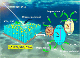 Graphical abstract: Fabrication and enhanced photocatalytic properties of dual S-scheme heterojunction TiO2/MoS2/C3N4 nanotube arrays