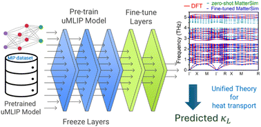 Graphical abstract: Unravelling lone pair induced bonding effects on thermal conductivity in metal chalcogenides using machine learning potentials