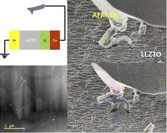 Graphical abstract: In situ investigation of Li permeation through grain boundaries in garnet-based solid electrolytes