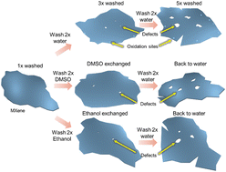 Graphical abstract: The hidden cost of solvent exchange: how mechanical damage compromises Ti3C2Tx MXene nanosheet properties