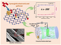 Graphical abstract: Analysing a Pd metallosurfactant derived single atom catalyst for biofouling mitigation and the oxygen reduction reaction in microbial fuel cells
