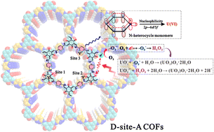 Graphical abstract: Donor-site-acceptor dual-modulation covalent organic frameworks for synergistic U(vi) photoreduction and immobilization