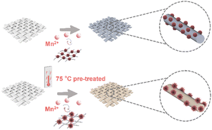 Graphical abstract: Regulating manganese dioxide polymorphism by epitaxial electrodeposition for reversible aqueous Zn metal batteries