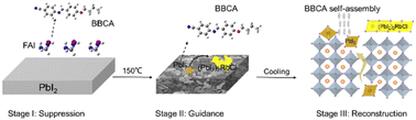 Graphical abstract: PbI2 interface reconstruction suppresses ion migration for stable planar perovskite solar cells