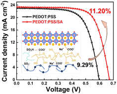 Graphical abstract: Inhibiting defect formation and degradation at the buried interface of tin perovskite solar cells by modulating PEDOT:PSS with sodium alginate