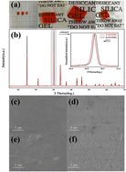 Graphical abstract: Deuterium-induced hydrogen bond strengthening: a novel strategy for high stability in hybrid perovskites