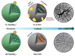 Graphical abstract: Modulating (001) plane growth in β-Ni(OH)2 precursors: a pathway to controlling lithiation kinetics and enhancing the structural integrity of LiNiO2