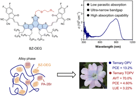 Graphical abstract: Oligo(ethylene glycol)-modified benzotriazole-based ultra-narrow bandgap acceptors for efficient transparent organic photovoltaics