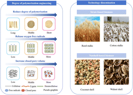 Graphical abstract: Precursor degree of polymerization engineering to understand the sodium storage behavior of closed pores in hard carbon