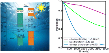 Graphical abstract: Static promise versus dynamic reality in a Z-scheme photocatalyst: nonadiabatic dynamics reveal a charge-separation bottleneck in MoSi2P4/WTe2
