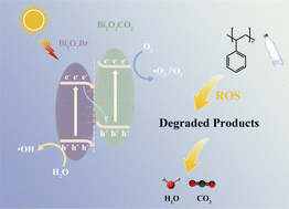 Graphical abstract: Built-in electric field driven S-scheme Bi2O2CO3/Bi5O7Br heterojunction for superior photocatalytic mineralization of polystyrene microplastics
