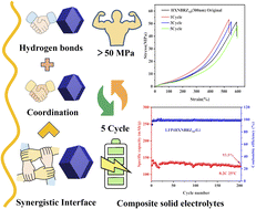 Graphical abstract: Synergistic interfacial engineering of dynamic coordination and hydrogen bonding enables reprocessable ultra-strong rubber nanocomposites