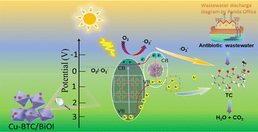 Graphical abstract: Engineering a flower-like Cu-BTC/BiOI heterostructure for efficient photodegradation of antibiotics in authentic aquatic environments