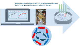 Graphical abstract: Digital and experimental design of CO2-responsive polymers based on acrylamide monomers for carbon capture