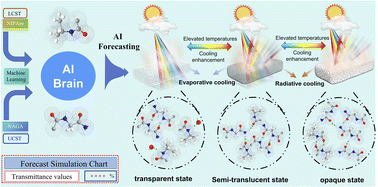 Graphical abstract: Dynamic hydrogen bond evolution in thermosensitive hydrogels for self-adaptive passive cooling