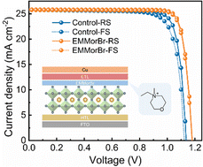 Graphical abstract: Quaternary morpholinium-mediated defect control in high-performance perovskite solar cells