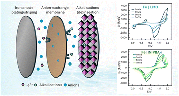 Graphical abstract: Broadening the horizons of Fe-metal in static batteries with anion exchange membranes