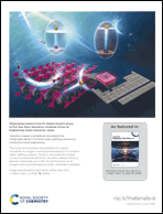 Graphical abstract: Back cover