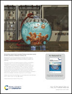 Graphical abstract: Back cover