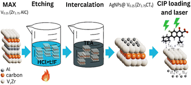 Graphical abstract: Tailoring the synthesis of V0.25(Zr1.75)C MXene for sensitive SERS quantification of ciprofloxacin antibiotics: spectroscopic and DFT investigation
