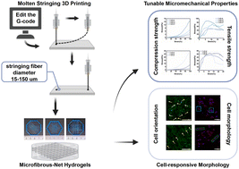 Graphical abstract: Molten stringing 3D printed microfibrous net-integrated mineralized hydrogels with tunable micromechanical and cell-responsive properties