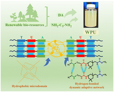 Graphical abstract: Waterborne dispersion-processed self-healing elastomers with hydrogen-bond locked hydrophobic microdomains for multifunctional applications