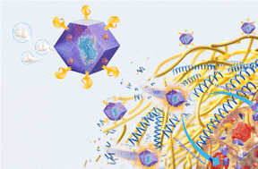 Graphical abstract: Improving extracellular matrix penetration with biocatalytic metal–organic framework nanoswimmers
